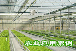 農(nóng)業(yè)應(yīng)用案例：水源熱泵機(jī)組助力恒溫大棚種植，更低運(yùn)行成本